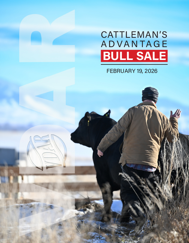 VDAR 2023 Bull Sale Catalog Cover